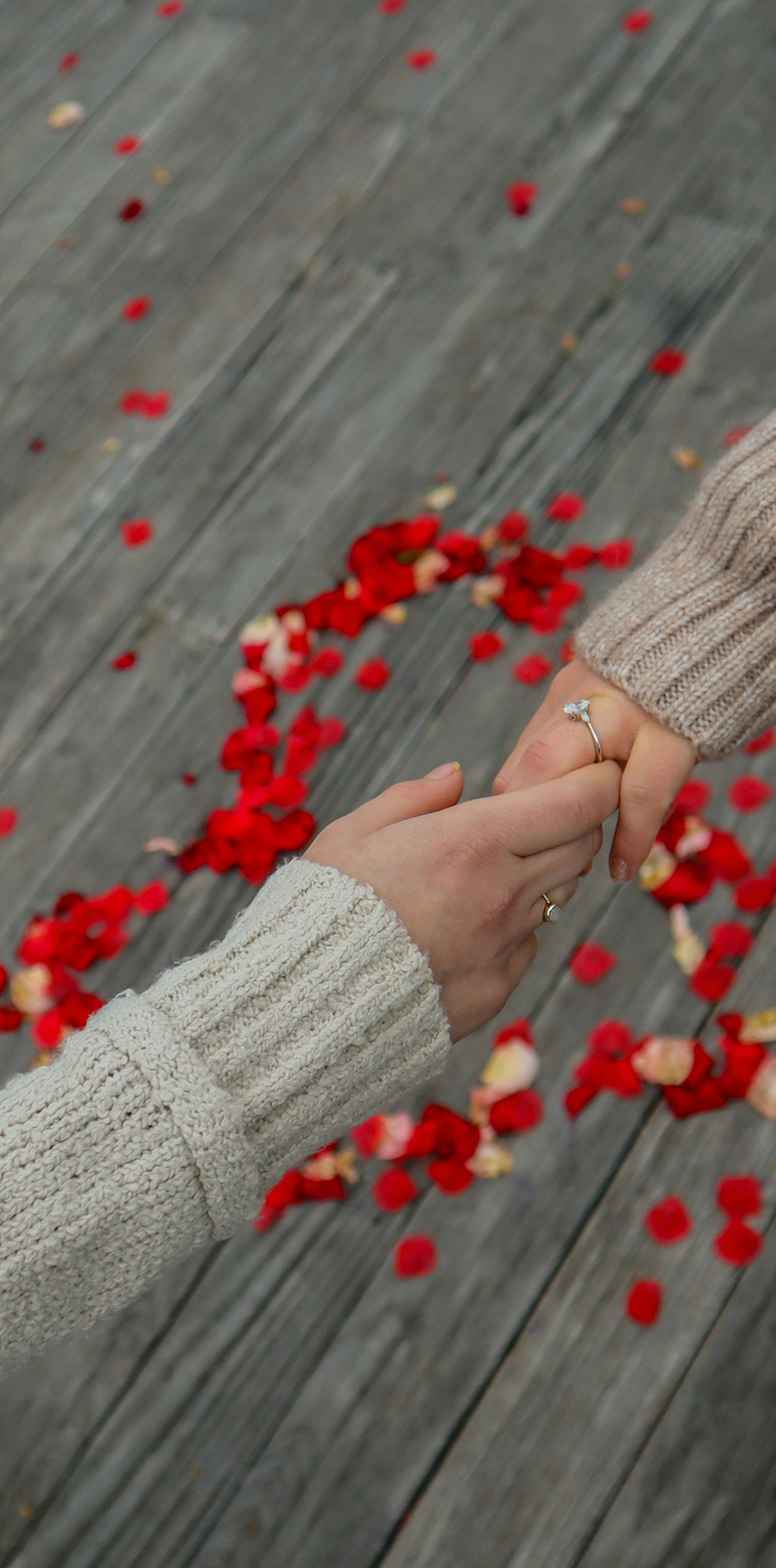 Challenges to Same-Sex Couple